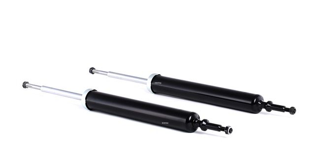 RIDEX 854S1574 Leaf spring 325 xi 211 hp N53 B30 A