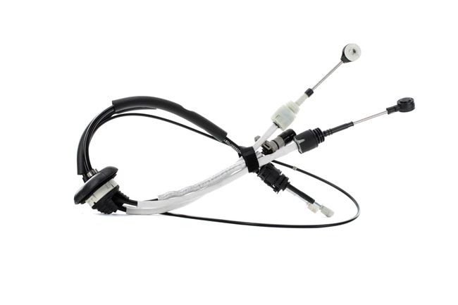RIDEX 1787C0043 Τσιμούχα αυτόματο κιβώτιο 2.0 D Multijet 4x4 120 PS RHK