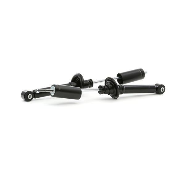 RIDEX 854S1682 Bladveer 1.6 (EM) 75 Pk EM