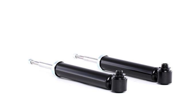 RIDEX 854S1934 Bladfjeder 525 i 211 HK N52 B25 A