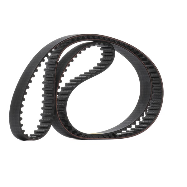 RIDEX 306T0109 Steuerkette 2.0 BlueTDI 143 PS CBAC