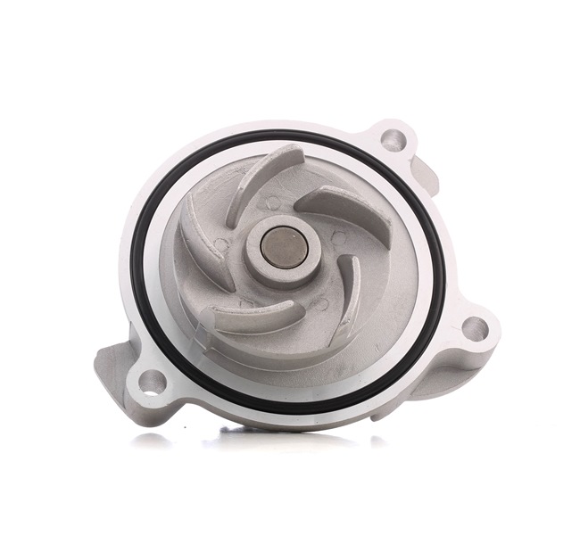 RIDEX 1260W0109 Vesipumppu Audi 100 C4 Avant 2.4 D 82 hv AAS