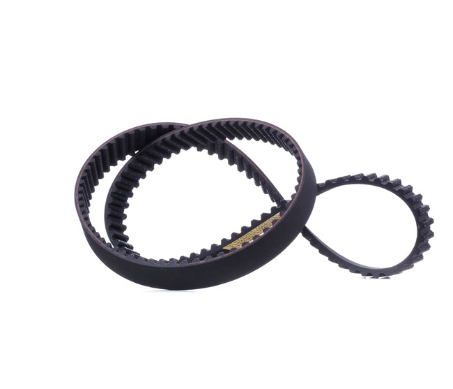 VW RIDEX Steuerriemen 306T0200