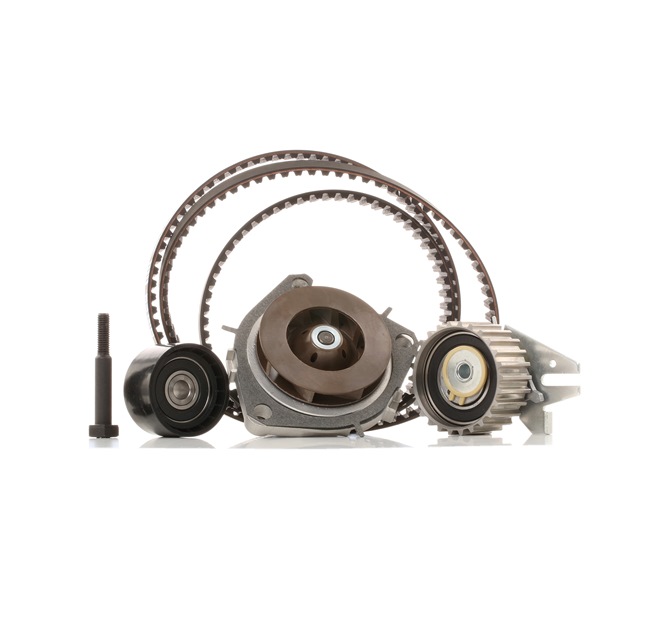 RIDEX 3096W0086 Chaîne de distribution 2.4 JTD (841.AXE1B0, 841.AXH110) 163CV 2003