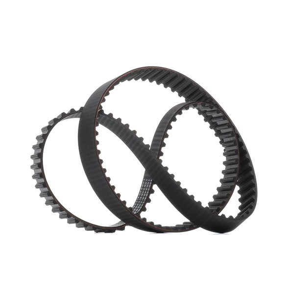 RIDEX 306T0162 Timing chain 2.5 TD 75 hp 4HD