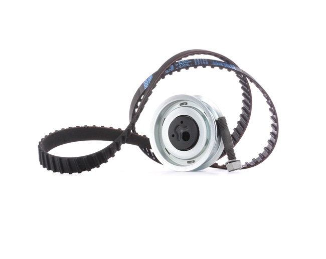 RIDEX 307T0020 Distributieset Passat 3a5 2.0 Syncro 115 Pk AGG