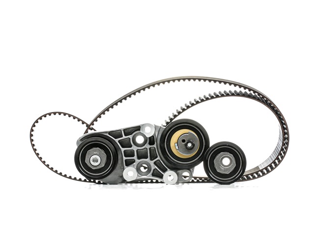 RIDEX 307T0051 Tensor da correia do alternador 2.6 (F35, M35, P35) 188 cv XF26E