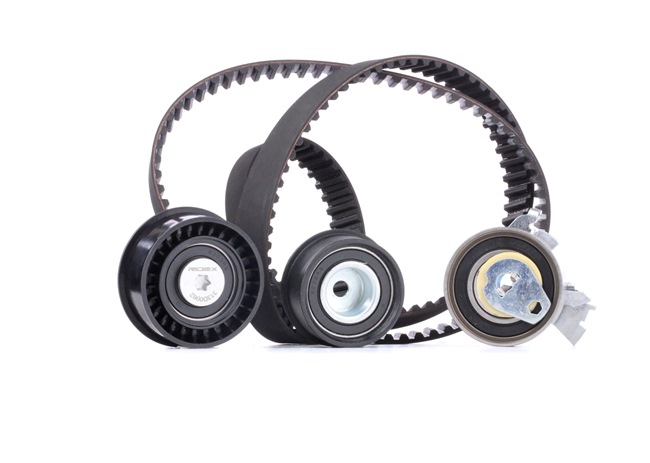 RIDEX 307T0092 Steuerkette 1.4 i 16V (F08, F68, M68) 91 PS X 14 XE