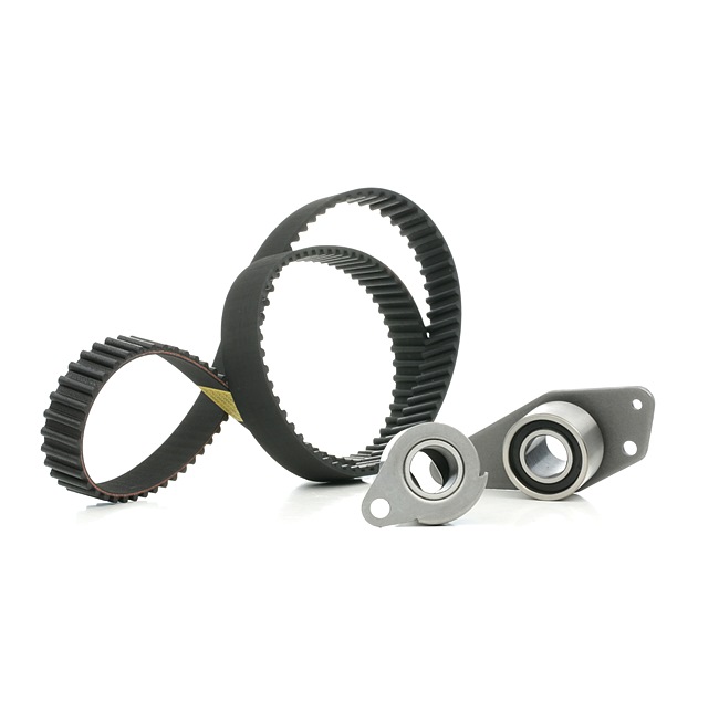 RIDEX 307T0108 Kit de correa de distribución Renault Megane Scenic 1.9 dT 90 cv F8Q 784