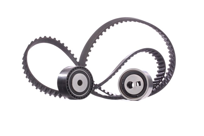 RIDEX 307T0154 Kit distributie CITROËN Jumpy I Camion cu platformă/Sasiu 1.9 TD 69 CP WJY (DW8B)