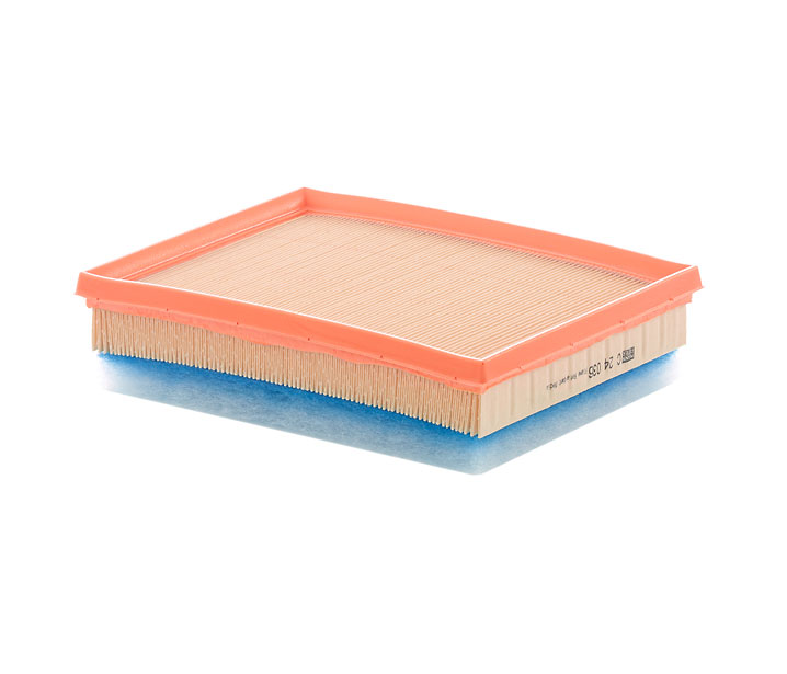DS MANN-FILTER Luchtfilters C 24 036