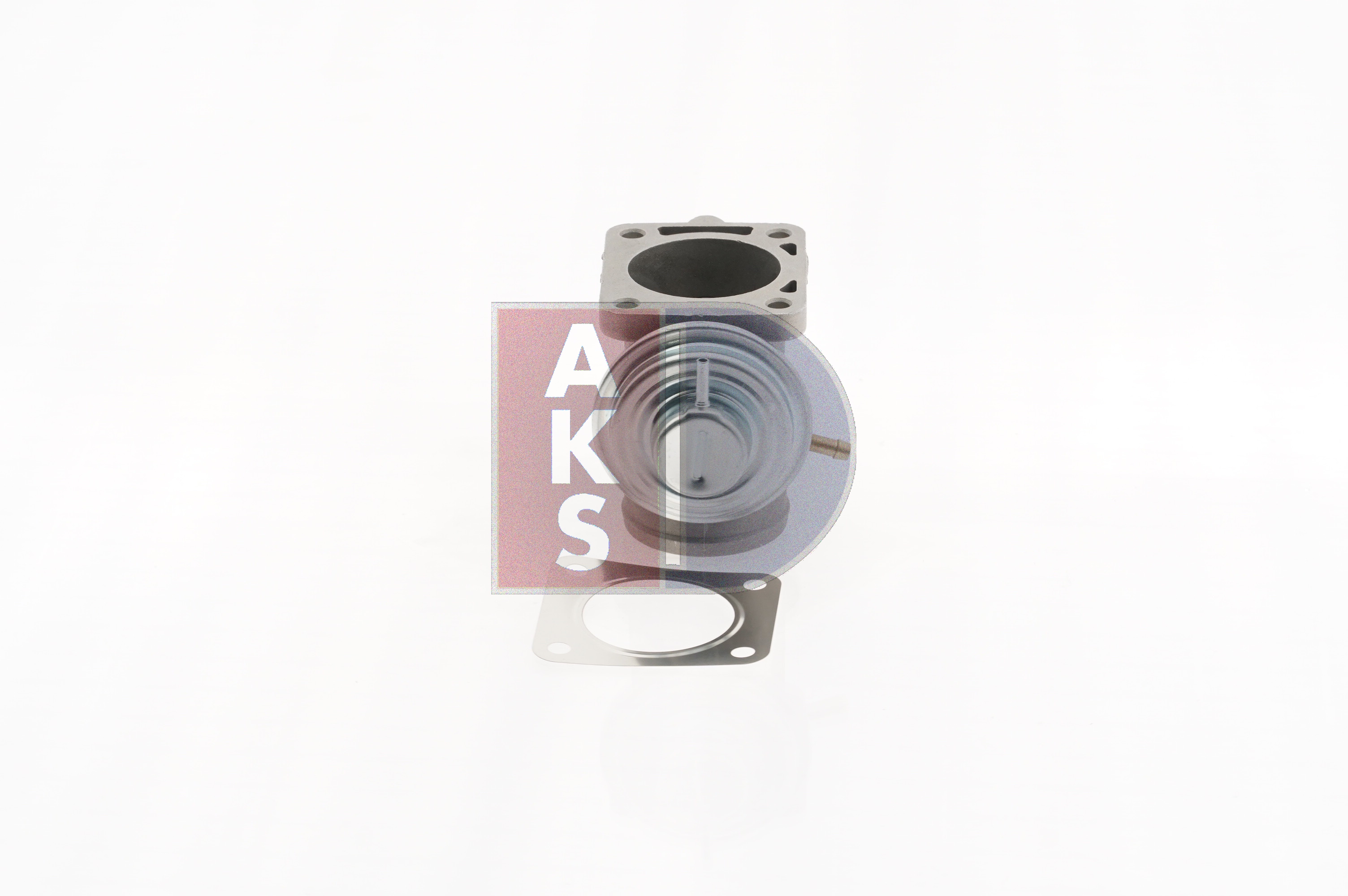 AKS DASIS 055023N Filtro de partículas 2.5 D (F69, M69, P69) 131 cv X 25 DT
