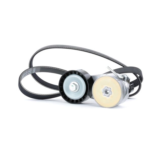 Comparare 542R0016 Kit cinghia servizi da RIDEX 1535429, 2472280, 1340041 a buon mercato