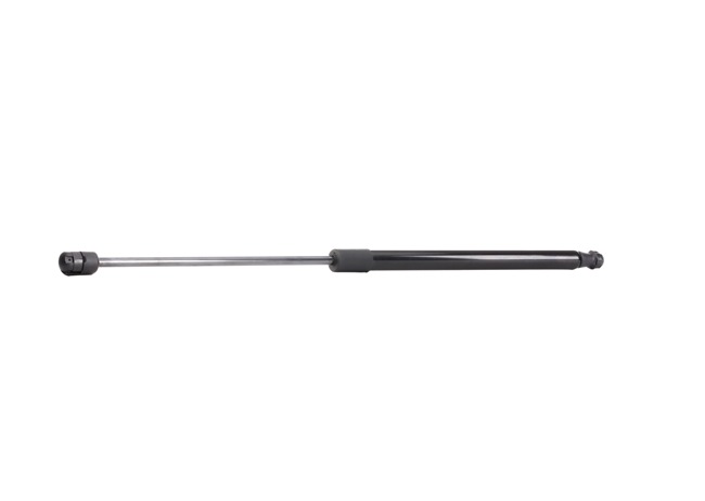 FIAT RIDEX Αμορτισέρ μπαγκαζιέρας 219G0446