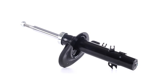 RIDEX 854S1768 Leaf spring 1.4 Bioflex 82 hp KFW (TU3JP)