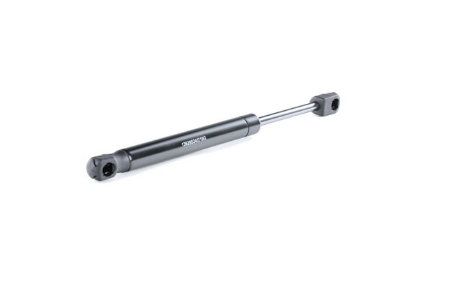 219G0696 Kaasujousi Auton takaluukku, 291mm RIDEX 30649836, 30779837 ostaa halvat
