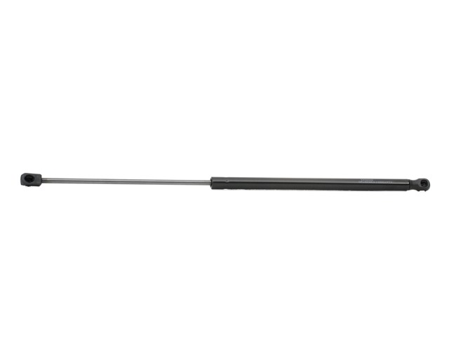 RIDEX 219G0317 Dørtætning 1.6 GDI 135 HK G4FD