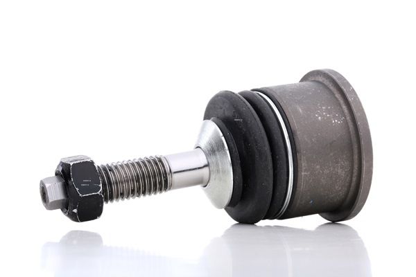 RIDEX 2462S0214 Differensial 4.2 R V8 396 hk 1G(AJ36)
