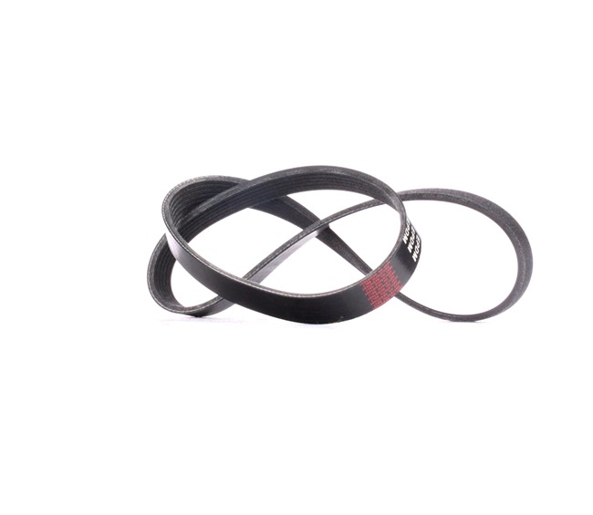 RIDEX 305P0357 Kit lanț de distribuție 2.5 V6 24V 160 CP 6A13
