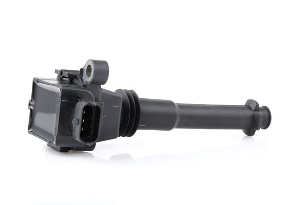 FIAT RIDEX Zündkassette 689C0281