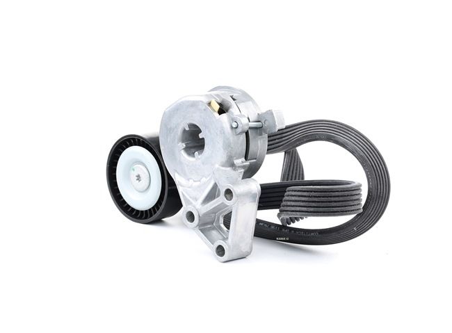 RIDEX 542R0015 Keilrippenriemensatz Audi A3 8L 1.8 T 150 PS AUM
