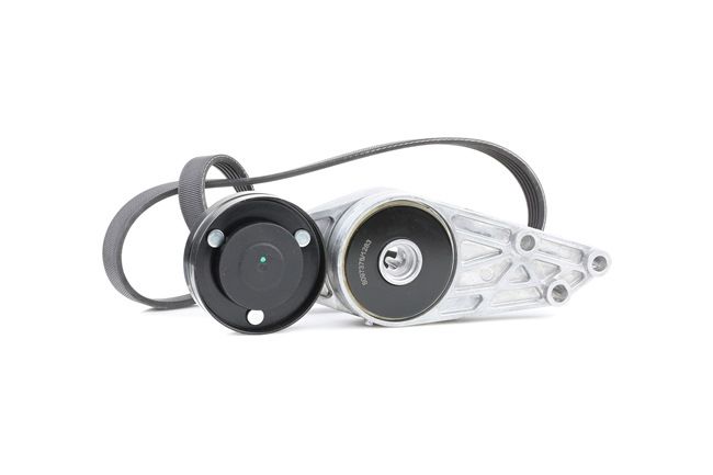 RIDEX 542R0031 Keilrippenriemensatz Passat B5 1.6 102 PS ALZ