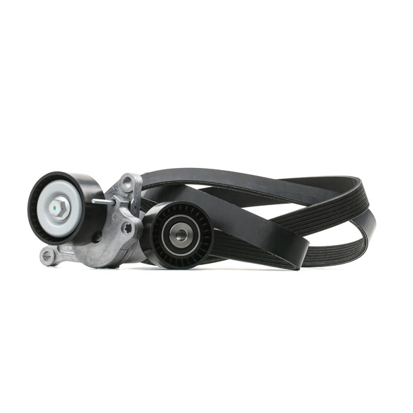 RIDEX 542R0032 Ékszíj 2.3 dCi 170 FWD (FV0L) 170 LE M9T 706