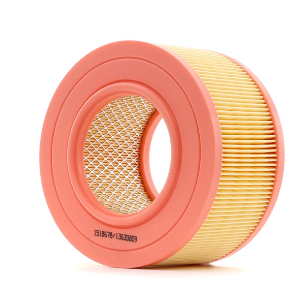 AUSTIN RIDEX Luftfilter 8A0542