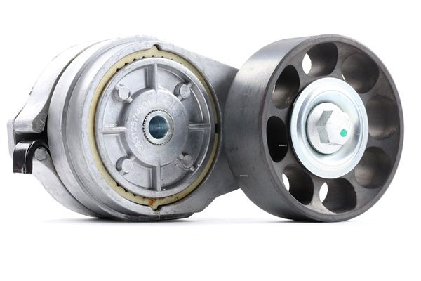 LAND ROVER RIDEX Feszítőgörgő 310T0133