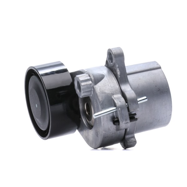 RIDEX 310T0138 Spännrulle Jeep Compass mk49 2.2 CRD 136 hk ENE