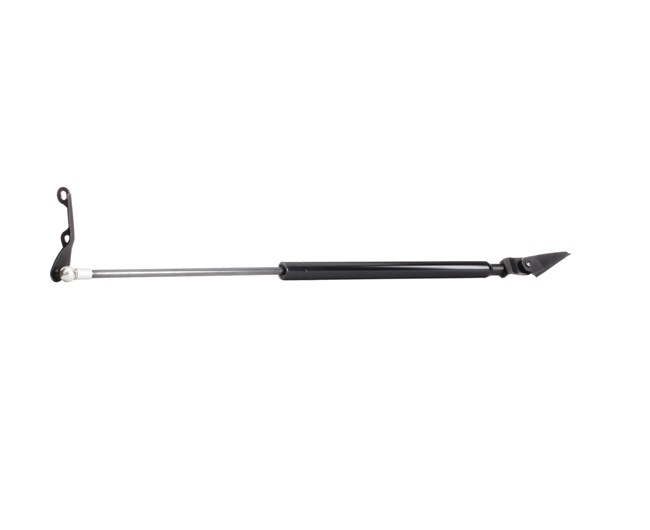 RIDEX 219G0421 Reverse light 1.0 (SCP10_) 65 hp 1SZ-FE