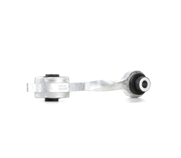 NISSAN RIDEX Motoroppheng 247E0145