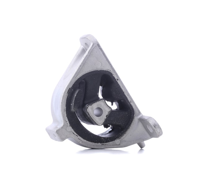 RIDEX 247E0189 Fasce elastiche 2.8 CRD 150 CV ENR