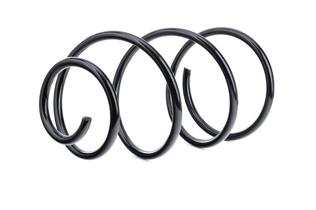 rendelés olcsó 188C0302 Futómű rugó hátsótengely ől RIDEX 46554914, 60613563