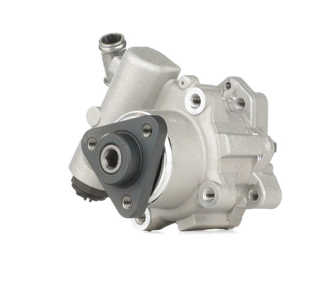 RIDEX 12H0110 Αντλία υδραυλικού τιμονιού Ford Transit Mk5 Microbus 2.0 DI 100 PS ABFA