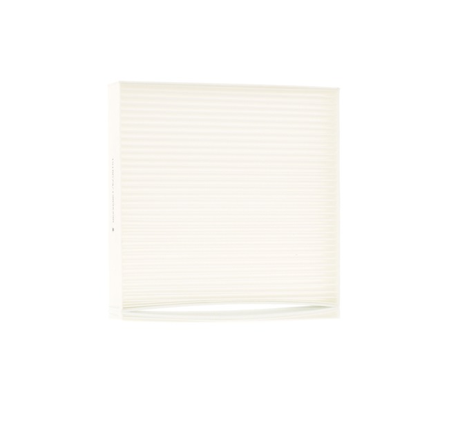SMART RIDEX Filtro de ar do habitáculo 424I0382