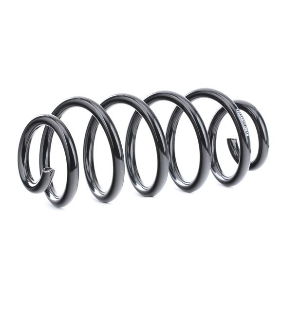 RIDEX 188C0490 Fjærer VW Passat 3bg Sedan 2.5 TDI 150 hk AFB