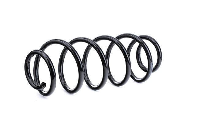 RIDEX 188C0492 Rugó Passat 3B5 1.6 101 PS ARM