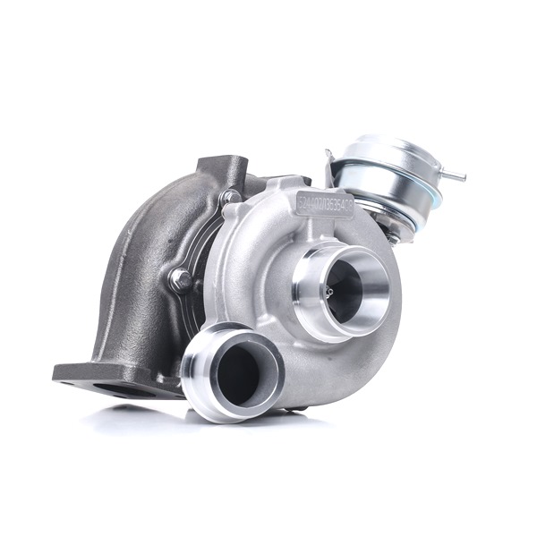 RIDEX 2234C0047 Turbo Passat 3B6 2.5 TDI 163 Pk BDG