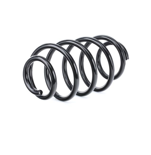 RIDEX 188C0547 Bladfjær VR6 3.2 231 hk BDL