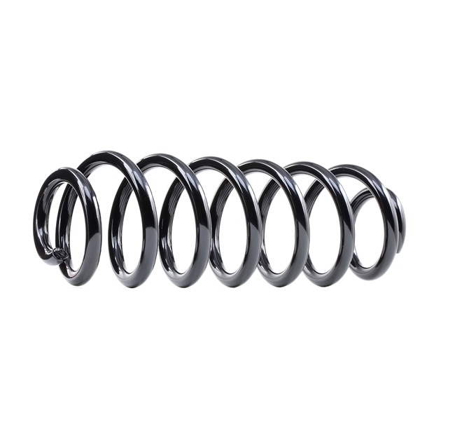 RIDEX 188C0550 Fahrwerksfeder Passat B6 Variant 1.4 TSI EcoFuel 150 PS