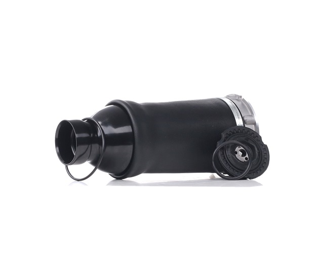 AUDI RIDEX Bälgar 4119A0003