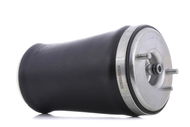 BMW RIDEX Kit suspensão pneumática 4119A0012
