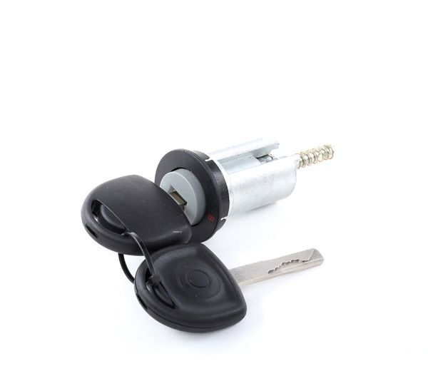 RIDEX 1378L0014 Aquecimento dos assentos 2.5 D (F69, M69, P69) 131 cv X 25 DT