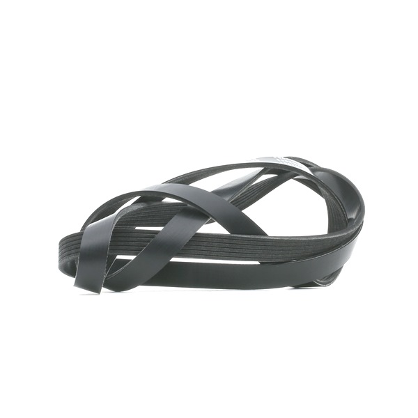 RIDEX 305P0333 Intinzator lant distributie 2.5 115 CP AVT