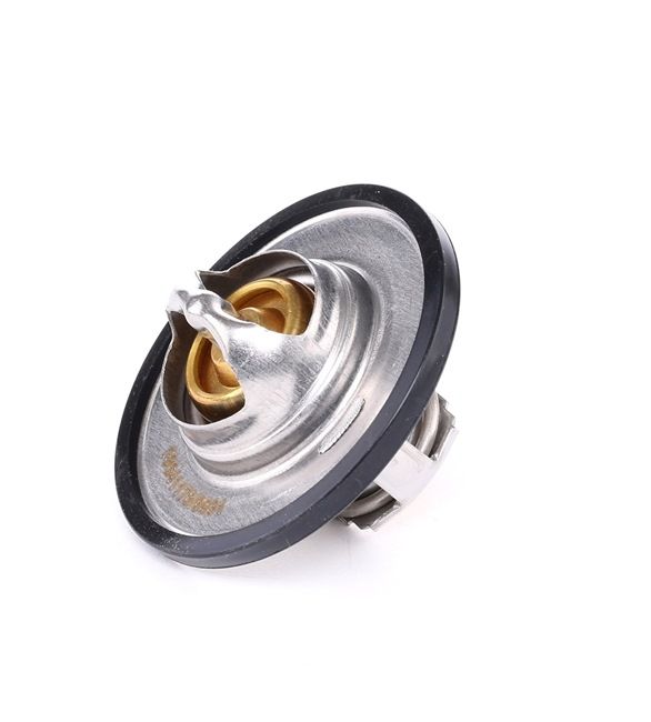 RIDEX 316T0055 Frizione ventola 2.0 TDI 163 CV CGLD