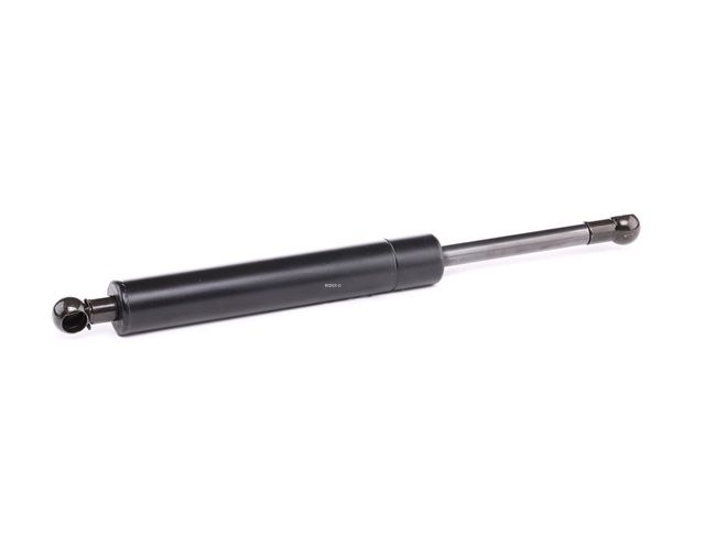 RIDEX 219G0502 Takaluukun lukko 2.0 T5 245 hv B 4204 T11