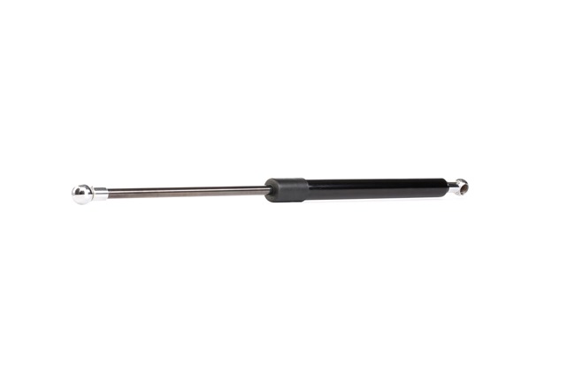 RIDEX 219G0532 Oświetlenie tablicy rejestracyjnej 1.5 4WD 103 KM 3SZ-VE
