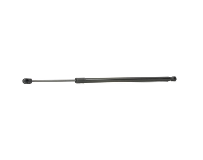 RIDEX 219G0688 Joint de vitre 2.0 Cupra 280CV 2016