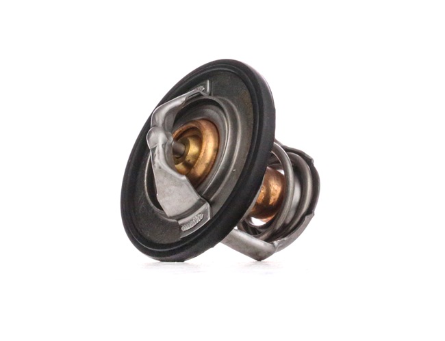 RIDEX 316T0027 Termoflot 2.2 16V (F08, F48) 147 CP Z 22 SE